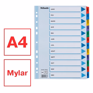 Regiszter ESSELTE Mylar A/4 laminált karton Jan-Dec