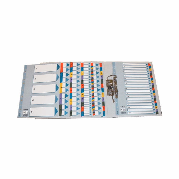 Regiszter ESSELTE Mylar A/4 laminált karton Jan-Dec