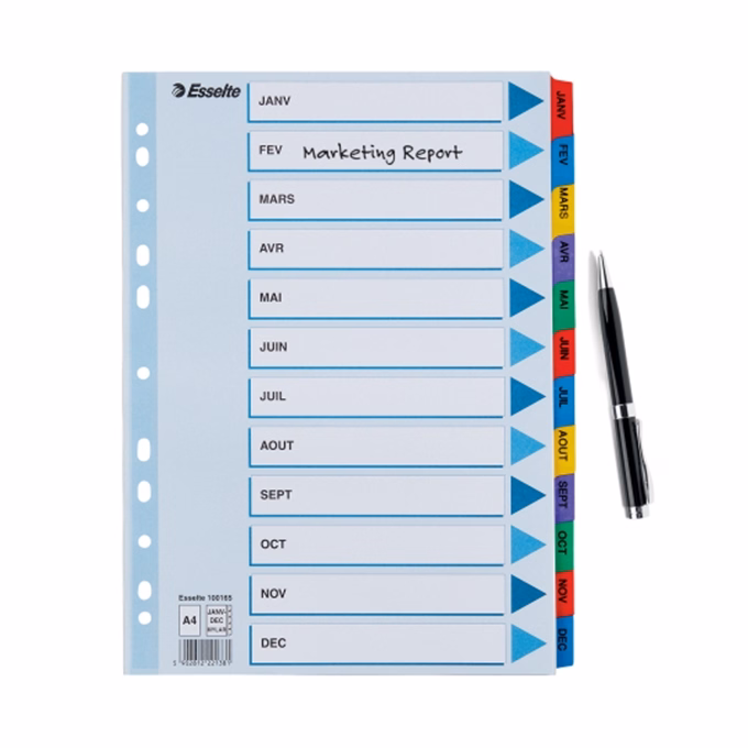 Regiszter ESSELTE Mylar A/4 laminált karton Jan-Dec