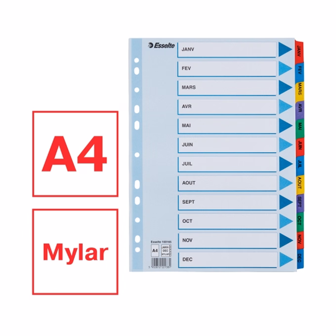 Regiszter ESSELTE Mylar A/4 laminált karton Jan-Dec