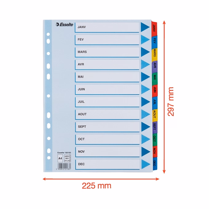 Regiszter ESSELTE Mylar A/4 laminált karton Jan-Dec