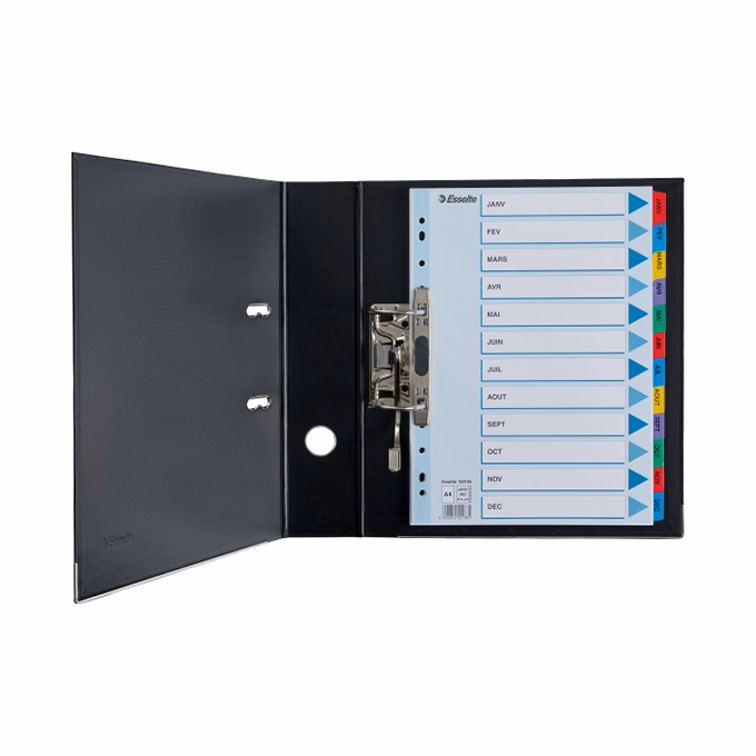 Regiszter ESSELTE Mylar A/4 laminált karton Jan-Dec