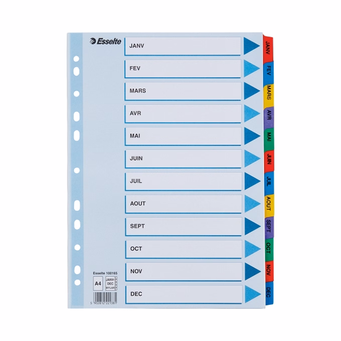 Regiszter ESSELTE Mylar A/4 laminált karton Jan-Dec