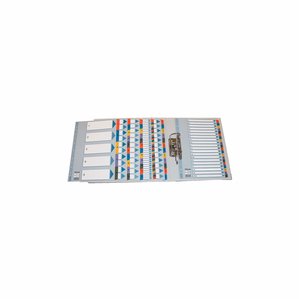 Regiszter ESSELTE Mylar A/4 laminált karton Jan-Dec