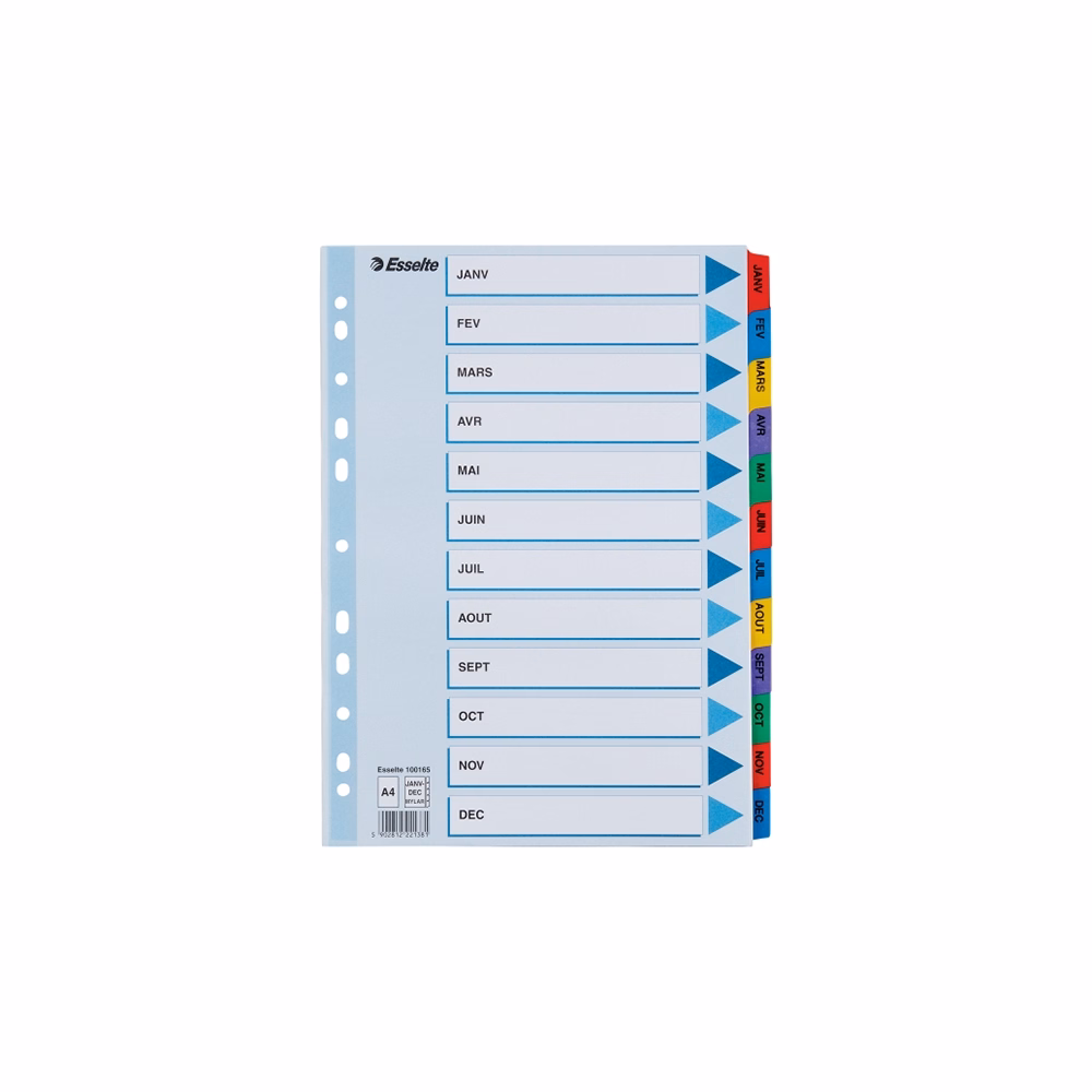 Regiszter ESSELTE Mylar A/4 laminált karton Jan-Dec