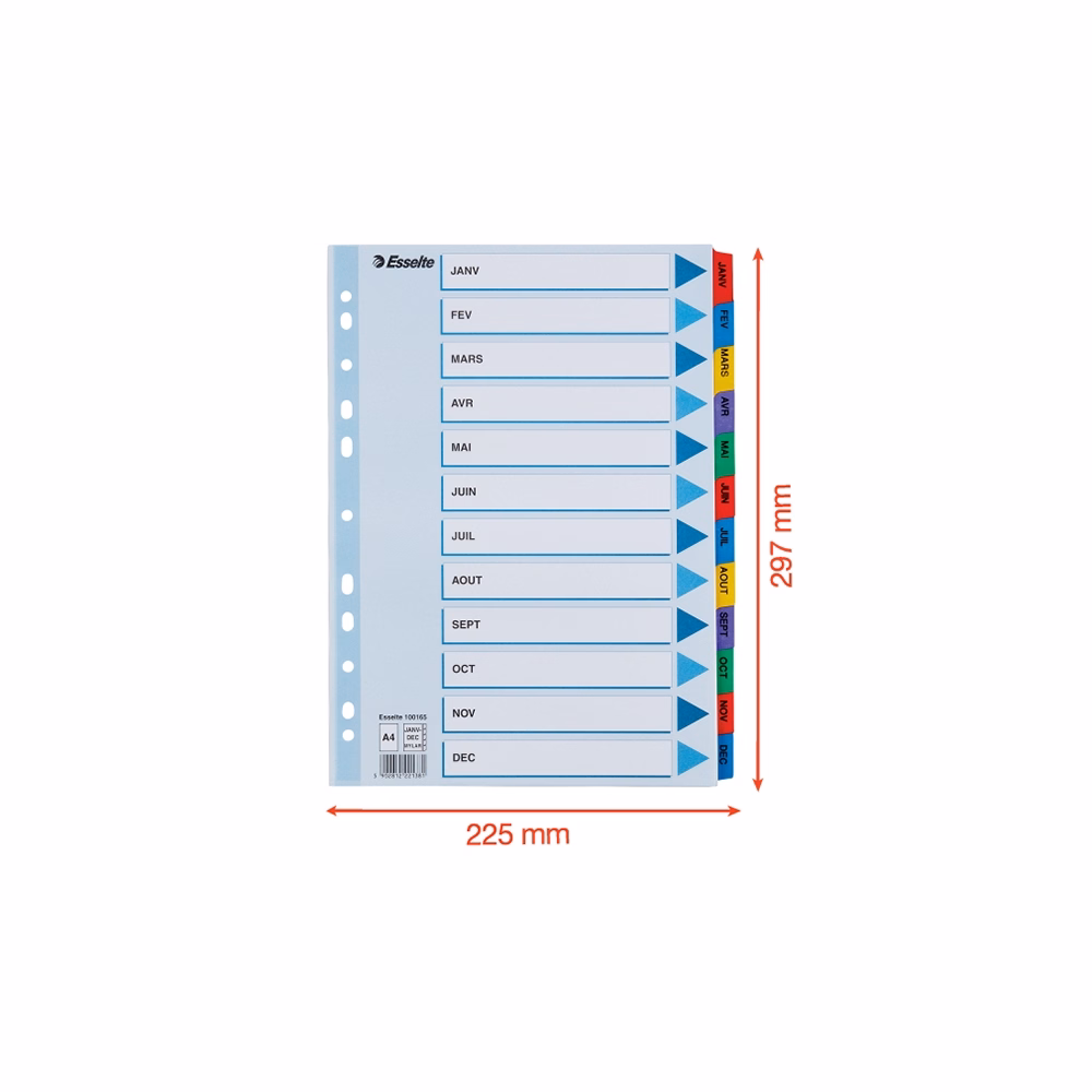 Regiszter ESSELTE Mylar A/4 laminált karton Jan-Dec