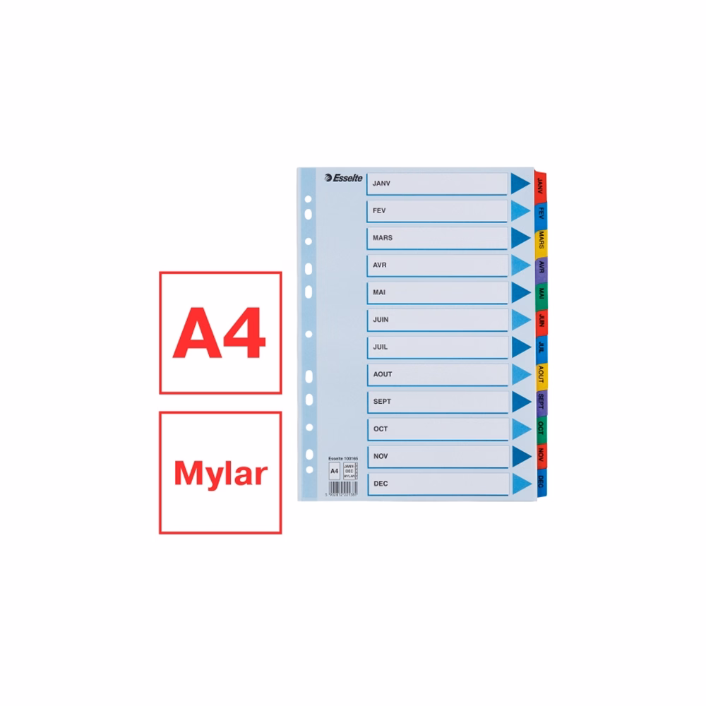 Regiszter ESSELTE Mylar A/4 laminált karton Jan-Dec