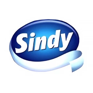SINDY