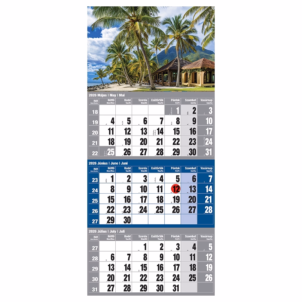 Speditőr naptár REALSYSTEM 1 tömbös 3 havi kék Sziget 2026.