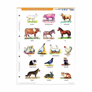 Tanulói munkalap STIEFEL A/4 ház körül élő állatok + munkaoldal