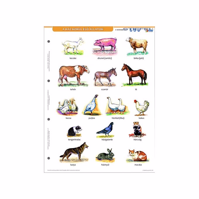 Tanulói munkalap STIEFEL A/4 ház körül élő állatok + munkaoldal