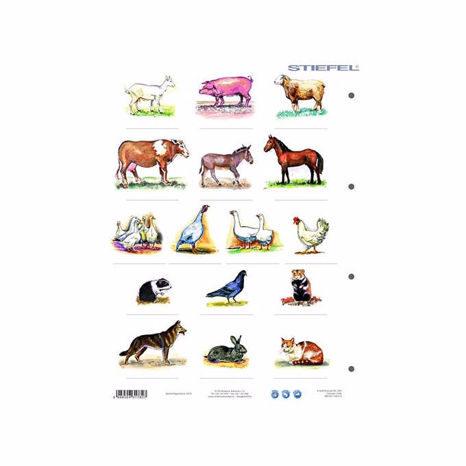 Tanulói munkalap STIEFEL A/4 ház körül élő állatok + munkaoldal