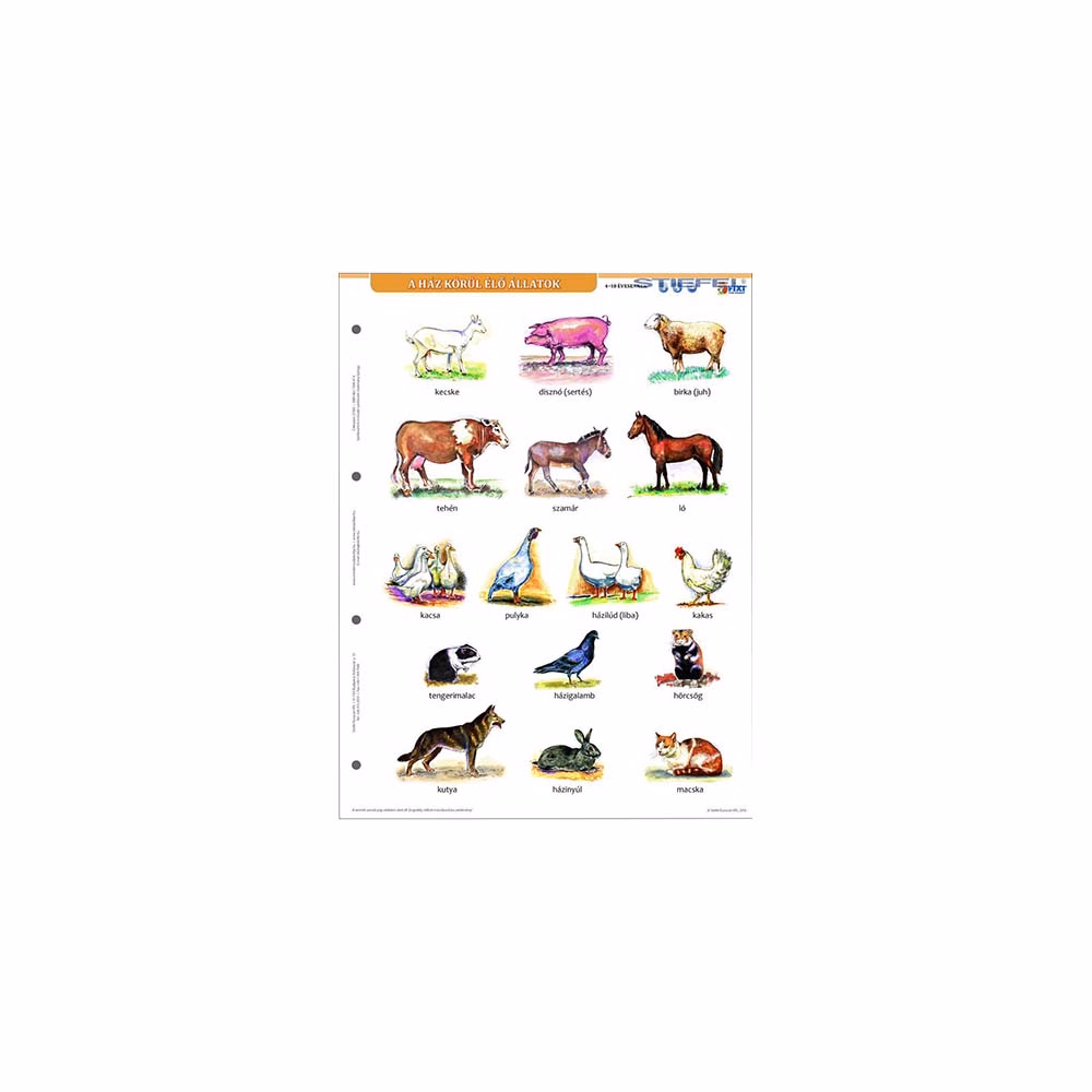 Tanulói munkalap STIEFEL A/4 ház körül élő állatok + munkaoldal