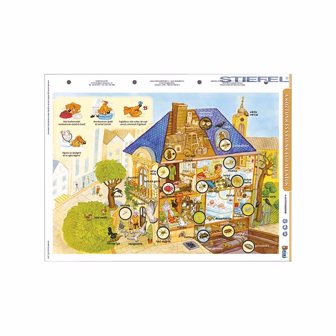 Tanulói munkalap STIEFEL A/4 köztünk és velünk élő állatok + munkaoldal