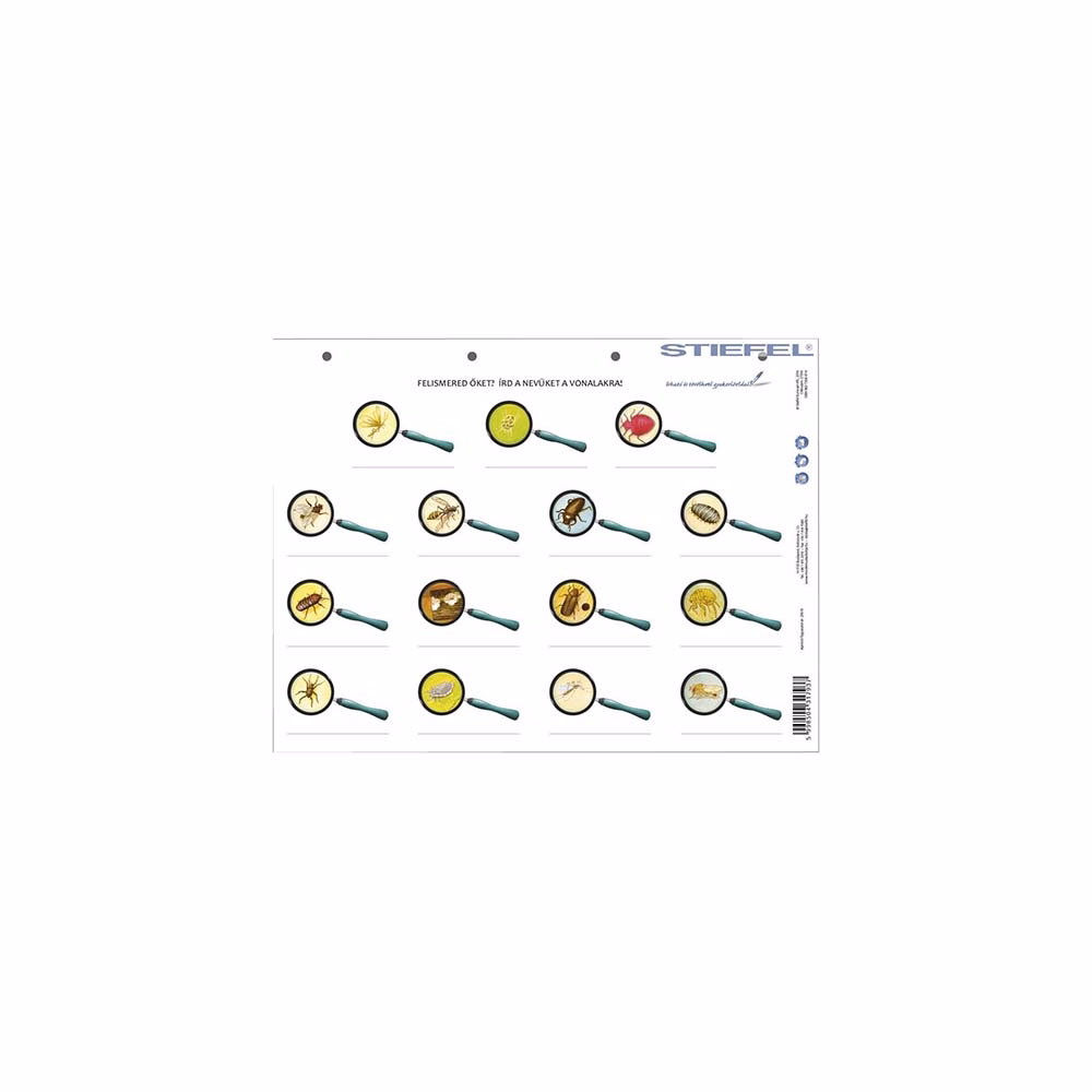 Tanulói munkalap STIEFEL A/4 köztünk és velünk élő állatok + munkaoldal