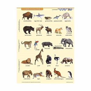 Tanulói munkalap STIEFEL A/4 vadon élő állatok + munkaoldal Tanulói munkalap STIEFEL A/4 vadon élő állatok + munkaoldal