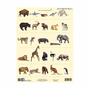 Tanulói munkalap STIEFEL A/4 vadon élő állatok + munkaoldal Tanulói munkalap STIEFEL A/4 vadon élő állatok + munkaoldal