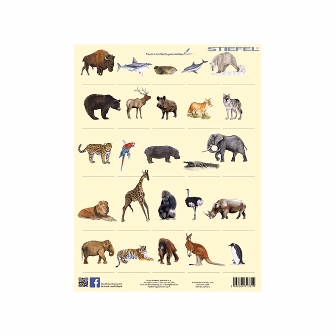 Tanulói munkalap STIEFEL A/4 vadon élő állatok + munkaoldal Tanulói munkalap STIEFEL A/4 vadon élő állatok + munkaoldal