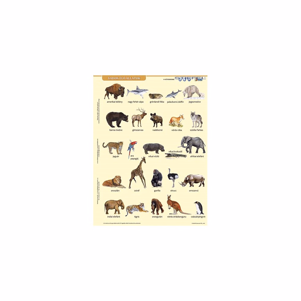 Tanulói munkalap STIEFEL A/4 vadon élő állatok + munkaoldal Tanulói munkalap STIEFEL A/4 vadon élő állatok + munkaoldal