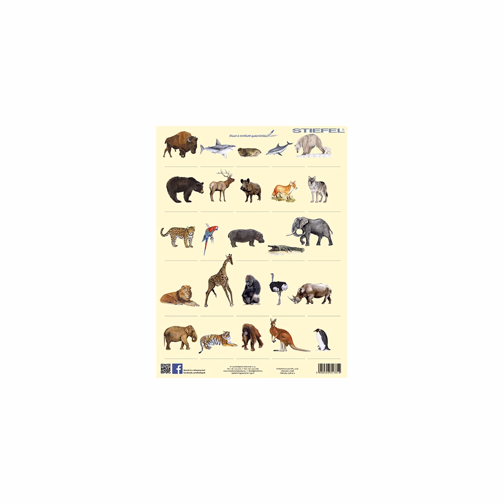 Tanulói munkalap STIEFEL A/4 vadon élő állatok + munkaoldal Tanulói munkalap STIEFEL A/4 vadon élő állatok + munkaoldal