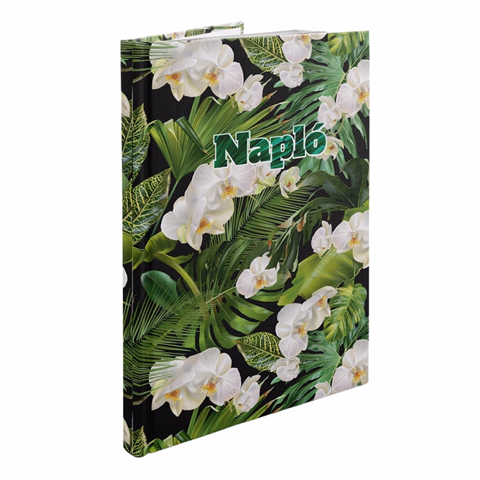 Tárgyalási napló REALSYSTEM Picture B/5 fehér lapos magnólia