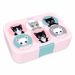 Uzsonnás doboz ARS UNA Think Pink osztott műanyag 216x153x52 mm