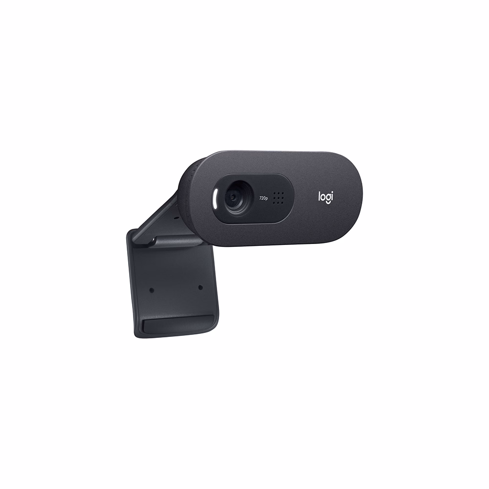 Webkamera LOGITECH C505e USB 720p fekete