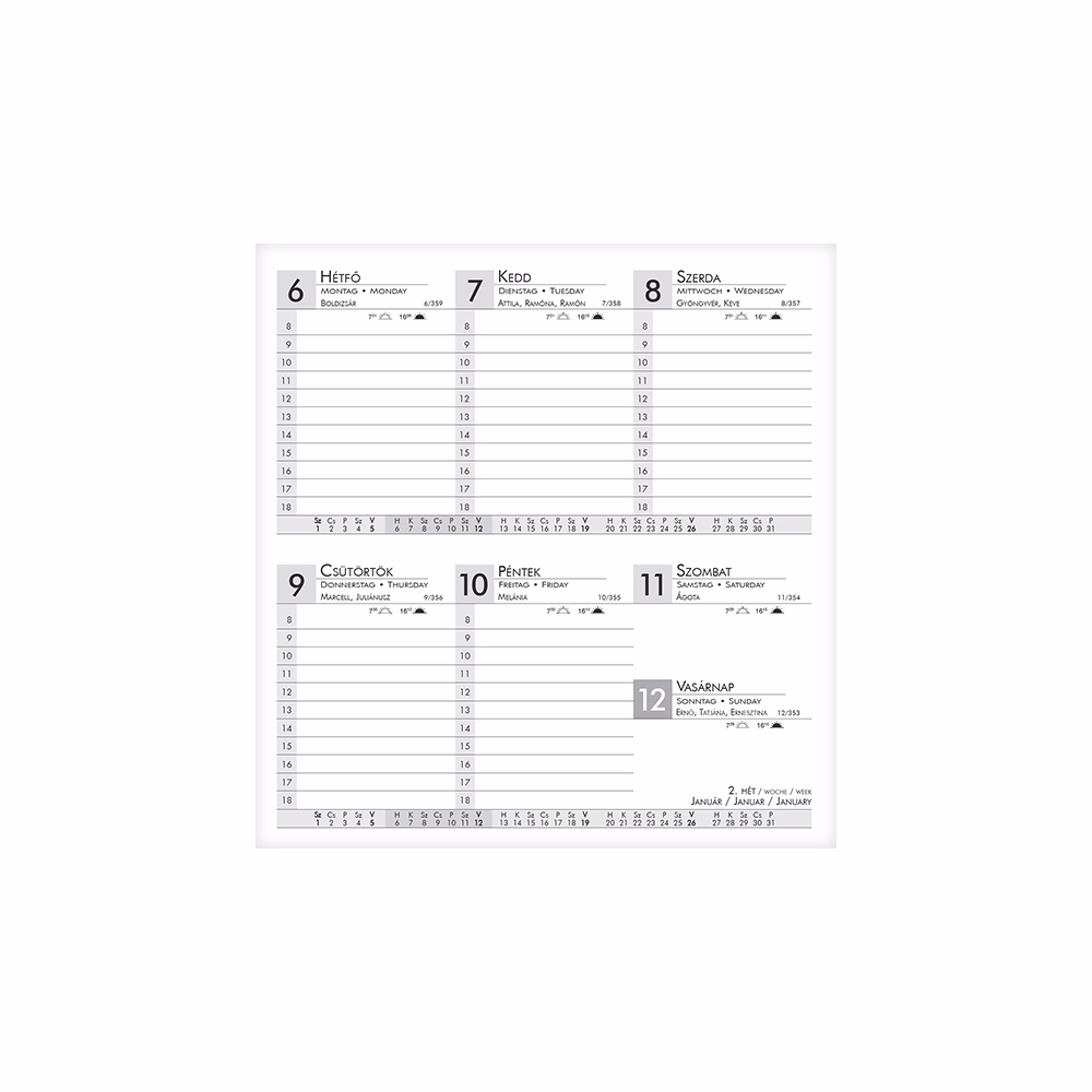 Zsebnaptár ALISCA fekvő fehér lapos szürke 2026.