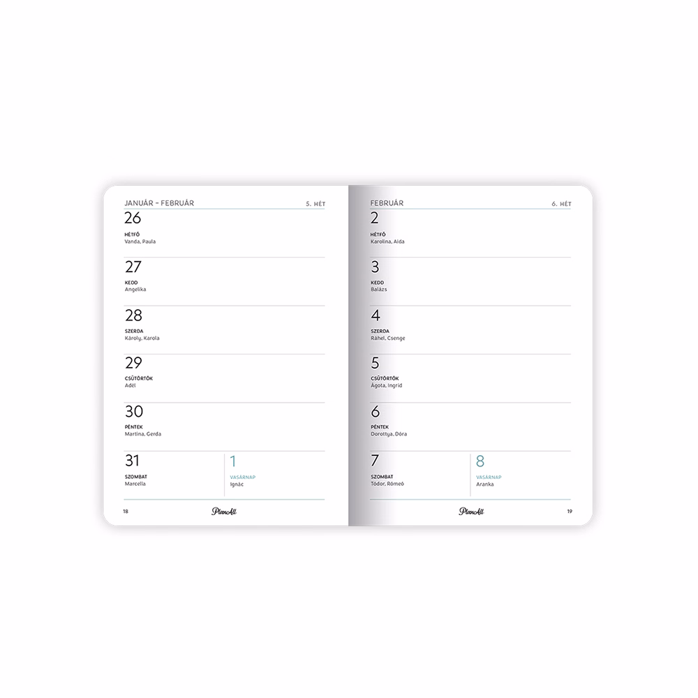Zsebnaptár PLANALL B/6 heti álló fehér lapos aranyozott Fall 2026.