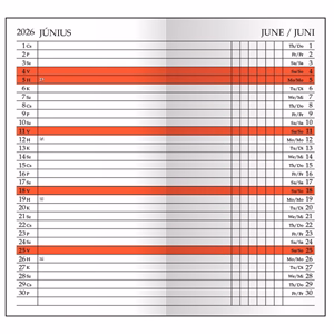 Zsebnaptár leporellós REALSYSTEM álló fehér lapos fekete 2026.