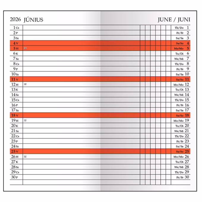 Zsebnaptár leporellós REALSYSTEM álló fehér lapos zöld 2026.