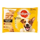 Állateledel alutasakos PEDIGREE kutyáknak 4-pack marha-bárány pulyka-répa válogatás 4x100g