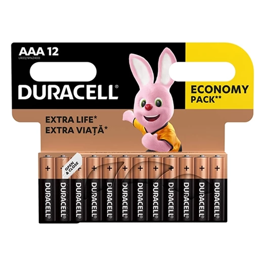 Elem mikro DURACELL Basic MN2400 AAA 12-es