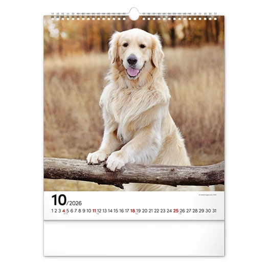 Falinaptár REALSYSTEM 300x340mm álló Dogs 2026.
