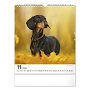 Falinaptár REALSYSTEM 300x340mm álló Dogs 2026.