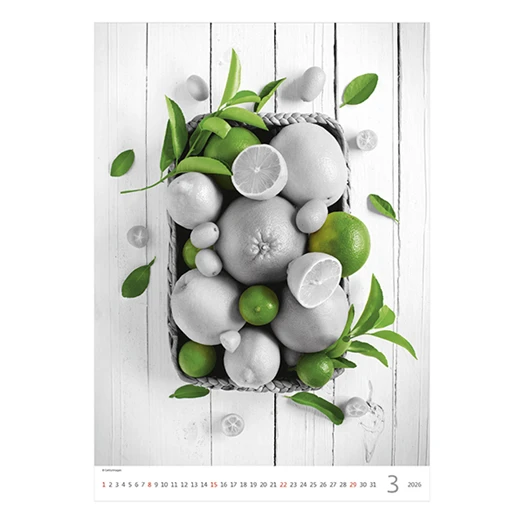 Falinaptár TOPTIMER T092 315x450mm álló Colour Art 2026.
