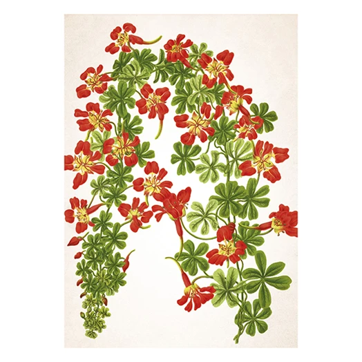 Falinaptár TOPTIMER T092 315x450mm álló Herbárium 2026.