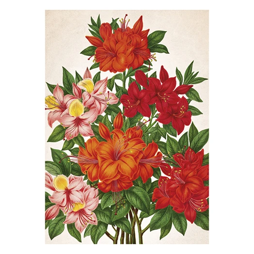 Falinaptár TOPTIMER T092 315x450mm álló Herbárium 2026.