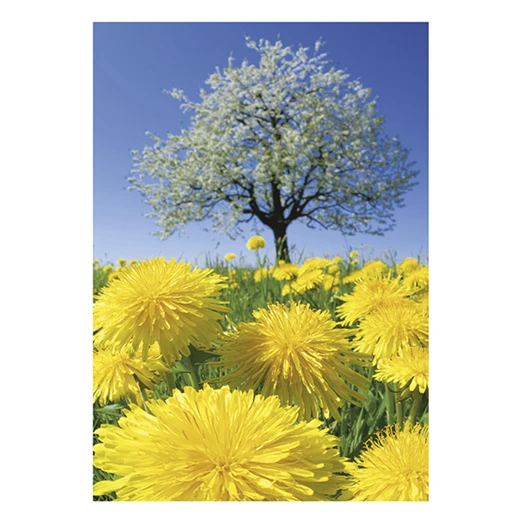 Falinaptár TOPTIMER T092 315x450mm álló Nature Emotions 2026.