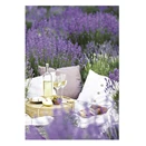 Falinaptár TOPTIMER T092 315x450mm álló Provence 2026.