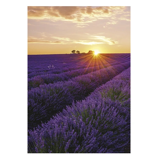 Falinaptár TOPTIMER T092 315x450mm álló Provence 2026.