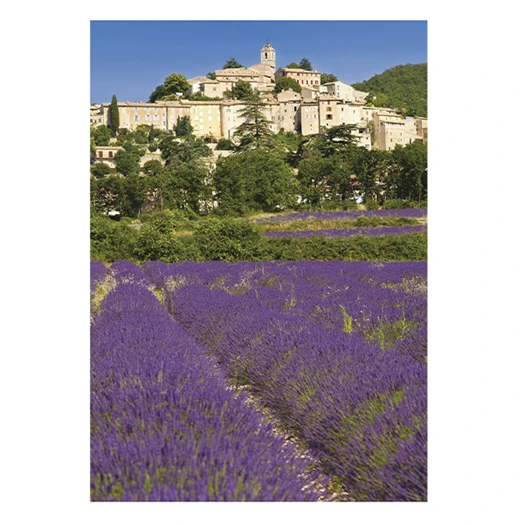 Falinaptár TOPTIMER T092 315x450mm álló Provence 2026.