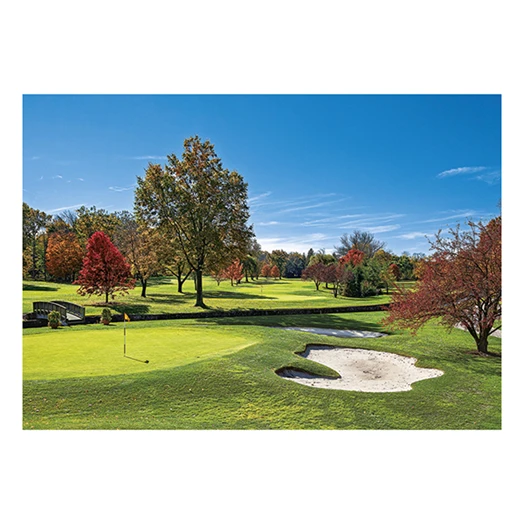 Falinaptár TOPTIMER T092 485x340mm fekvő Golf 2026.