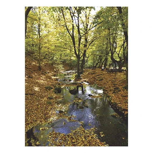 Falinaptár TOPTIMER T093 310x420mm álló Ezerszínű Magyarország 2026.