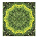 Falinaptár TOPTIMER T094 220x330mm álló Mandala 2026.