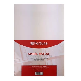 Hátlap FORTUNA A/4 250 g fényes fehér 100/dob