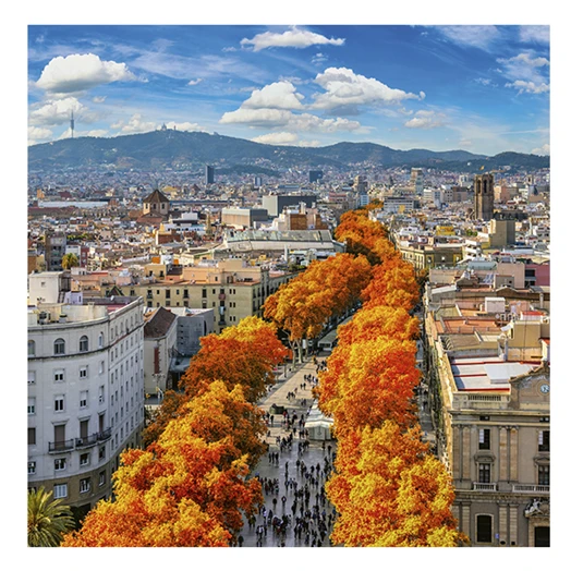 Lemeznaptár REALSYSTEM 300x300mm Barcelona 2026.