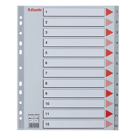 Regiszter ESSELTE A/4 maxi műanyag 1-12 szürke