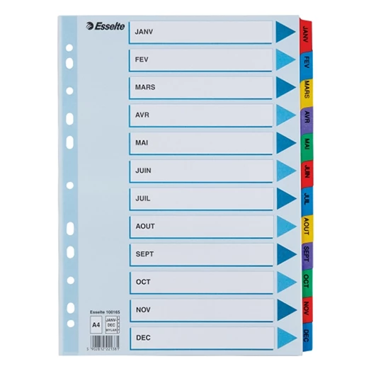 Regiszter ESSELTE Mylar A/4 laminált karton Jan-Dec