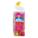 Toalett tisztító gél DUCK forest 750 ml
